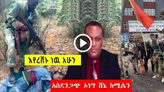 አስደንጋጭ ኦነግ ሸኔ ከሚሴን እንዲሁም ሌሎች የአሁን መረጃዎች  ethiopian news | tigray | esat | seifu on ebs | zehabesha