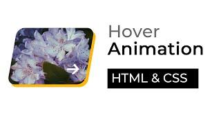 CSS Hover Animation Effects | HTML & CSS | csPoint Web Designing Tutorials