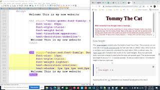 HTML Tutorials for Complete Freshers