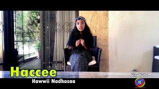 Hawwii Nadhasaa - Haccee - New Ethiopian oromo music - 2022 official video