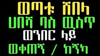 ሳሚ ሀበሻ ባስ  ዉስጥ አቁሞ ወንበር ላይ መከረኝ | Ethiopia | Ethiopian new music | Abel birhanu | Eregnaye | tiktok