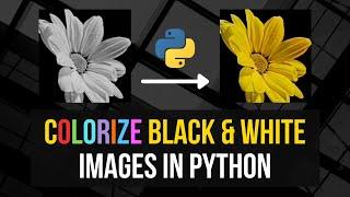 Colorize Black & White Images in Python