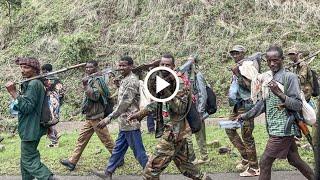 የአሁን ሰበር ዜና Ethiopian News Ethiopia Today November 23, 2021 Zehabesha