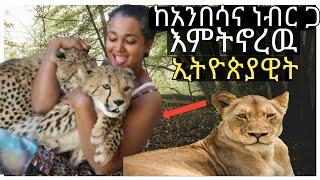 ጉድ ከአንበሳ እና ከነብር ጋ እምትኖረዉ ኢትዮጵያዊት ሴት|New ethiopian movie|Hena ሄና| Ebs tv