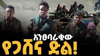 የቀን 7 ሰዓት አማርኛ ዜና … ህዳር 22/2014 ዓ.ም