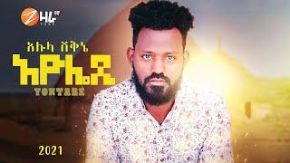 Alula Shekini - Ayolade - አሉላ ሸቅኔ - አዮሌዲ - New Ethiopian Music 2021 (Official Video)