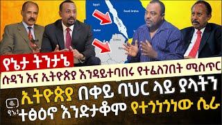 ሱዳን እና ኢትዮጵያ እንዳይተባበሩ የተፈለገበት ሚስጥር | ኢትዮጵያ በቀይ ባህር ላይ ያላትን ተፅዕኖ እንድታቆም የተጎነጎነው ሴራ