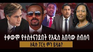 ተቃውሞ የተስተናገደበት የአዲስ አበባው ስብሰባ || አዲሱ ፓርቲ ምን ይዟል?