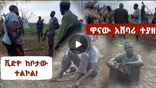 ሰበር ቪድዮ|ዋናው አሸባሪ ተያዘ!|ቪድዮ ከቦታው ተልኮል|Ethiopian news today|Ethiopian news|Ethiopia|