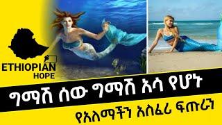 ???? ግማሽ ሰው ግማሽ አሳ የሆኑ የአለማችኝ አስፈሪ ፍጡራን | Seifu On Ebs | Ebs | Ethiopia | ETHIOPIAN HOPE