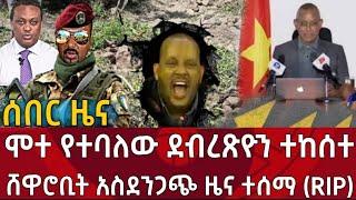 Ethiopia - ሰበር ምሽቱን ሞተ የተባለው ደብረጽዮን ተከሰተ |ሸዋሮቢት አስደንጋጭ ዜና ተሰማ|zehabesha|zena tube|habesha|feta daily