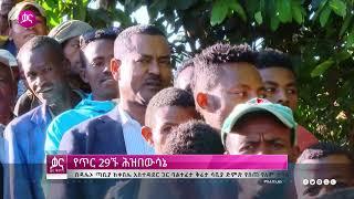 ቃና ዜና ቅምሻ (የካቲት 1, 2015) | Kana News