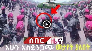 ethiopia Tigray News Today | የአሁን ሰበር ዜና  | ethiopian news | zehabesha | zenatube