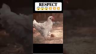 respect ???????????????? #shorts #ytshorts #tiktok #viral #respect