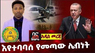 Ethiopia: እየተባባሰ የመጣው ሌብነት ❗️  Addis Abeba Police |Metekel | Benishangul |Turkey  |China