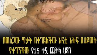 በወለጋው ጥቃት በተገደለችው እናቷ እቅፍ በህይወት የተገኘችው የ15 ቀኗ ጨቅላ ህጻን/ Ethiopia