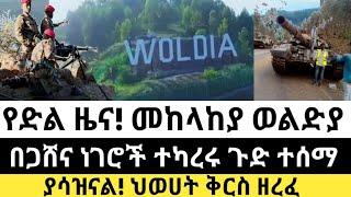 Ethiopia: ሰበር | የድል ዜና! መከላከያ ወልድያ | በጋሸና ነገሮች ተካረሩ | Zena Tube | Zehabesha | Ethiopia | Top mereja.