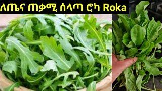 ጤናማ የሰላጣ አስራር ሮካ ልዩ ነው Roka I have |Seifu on EBS ||Ethiopia food ||How to make healthy cabbage salad