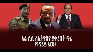 ???? ???? አል ሲሲ ለኢትዮጵያ ያቀረቡት ጥሪ || የትግራይ እርዳታ