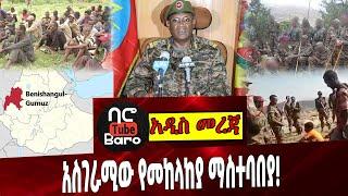 አስገራሚው የመከላከያ ማስተባበያ❗️ Ethiopia | Mohammed Tessema | Benishangul | Guji | Amaro