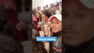 Ethiopian wedding #shorts #habeshatiktok #ethiopianwedding #habesha