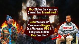 Qophii Addaa: Abiy Ahmad Dhibamee Qaamni Isaa Laamsha'e WBOn Shaggar tti Lola Jabaa OMN Ethiopia