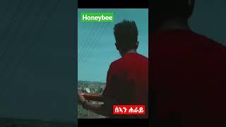 Honeybee - New Eritrean Music 2023 | Sean Heray