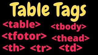 Table, thead, tbody, tfoot, tr, th and td tags in HTML || HTML Toturial for Bigenneris in Urdu/Hindi