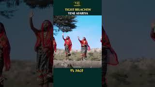 Tigist Belachew - Yene Afarya - ትግስት በላቸው - የኔ አፋርያ - New Ethiopian Music 2023