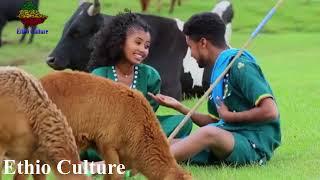 Wello best music Tew nalign ተው ናልኝ ምርጥ የወሎ ሙዚቃ