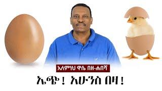 Alemneh Wase BeZehabesha - (አለምነህ ዋሴ በዘ-ሐበሻ) - ኤጭ! አሁንስ በዛ!