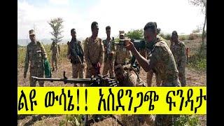 Ethiopia : አስደንጋጭ ሰበር ዜና | ልዩ ውሳኔ ተወሰነ | ክባድ ፍንዳታ | ethiopian news today | zehabesha | feta daily