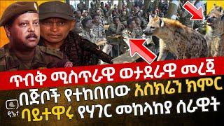 [ጥብቅ ሚስጥራዊ ወታደራዊ መረጃ] በጅቦች የተከበበው የአስክሬን ክምር እና ባይተዋሩ የሃገር መከላከያ ሰራዊት