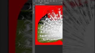 adobe photoshop tutorial for beginners   Adobe Photoshop Tutorial für Anfänger 2021 #shorts # 829