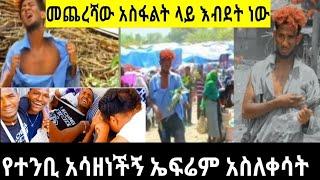 ቶፊቅ አላበደም እናንተ ናችሁ ያበዳችሁ/Lijtofik/yetbi tube/samri fani/ shegerinfo/seifu on ebs