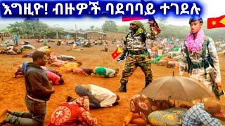 እግዚኦ ! ብዙዎች ተገደሉ።esat Ethiopian daily news eregnaye zehabesha kana tv feta daily abel birhanu እረኛዬ