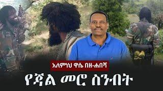 Alemneh Wase BeZehabesha - (አለምነህ ዋሴ በዘ-ሐበሻ) - የጃል መሮ ስንብት