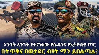 Ethiopia - አንገት ላንገት የተናነቀው የሱዳንና የኢትዮጵያ ጦር በትጥቅና በወታደር ብዛት ማን ይበልጣል?