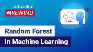 Random Forest in Machine Learning  | Machine Learning Training | Edureka |  Rewind- 7