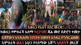 Ethiopia: ከወለጋ የምስራች ተሰማ | ጃል መሮ በድሮን ተመታ | እጃቸውን እንዲሰጡ ተጠየቁ | Ethio Media | Ethiopian News