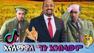 ፖለቲካ አይደለም ! ብሩክ እና ጉተማ ምርጥ ቲክቶኮች | best tiktok | | Ethiopian TikTok | | Habesha tiktok |