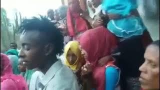 የገጠር ሰርግ ጥፈር ቆረጣ|የገጠር ሰርግ ሆታ|የገጠር ሰርግ ጭፈራ |