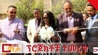 NBC Ethiopia | በለሚ ኩራ በ90 ቀናት የተገነቡ የሌማት ቱሩፋት ፕሮጀክቶቹ ተመረቁ በNBC ማታ