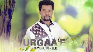 Shambel Bekele ( SB ) - Urgaa'e - New Ethiopian Afaan Oromoo Music Video 2022 ( Official Video )