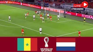 Senegal vs Holland LIVE | FIFA World Cup 2022 - Group A - Round 1 | Full Match LIVE Today