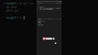 Golang Tips: Execute System Commands #shorts #golang