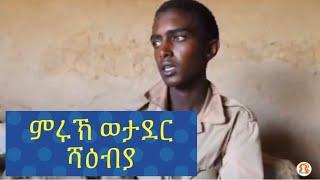 ብ ሓይሊ ምክልኻል ትግራይ ዝተማረኸ ወታደር ሻዕብያ