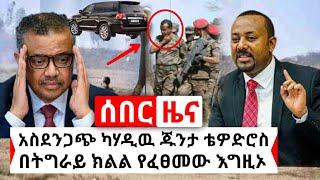 Ethiopia: ሰበር | ጁንታው ቴድሮስ አድሃኖም በትግራይ ክልል የሰራዉ አስደንጋጭ ሴራ | Abel Birhanu