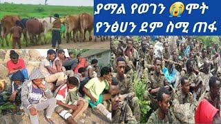 #የወሎ ወልድያ የወገኔ እልቀት #ሳውድ እስር ቤት ሊሞትብን ነው አሉ መፈጠሪን ጠላሁ ስሚ ጠፋ????