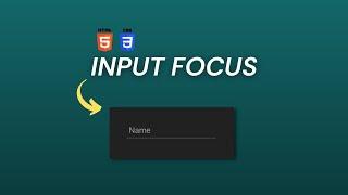 CSS Input Focus Animation Effect || CSS Tutorials